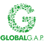 Global GAP@4x